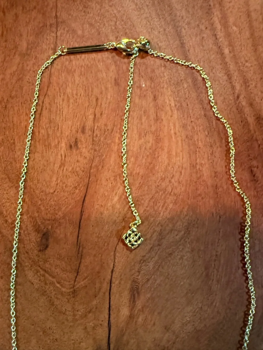 Kendra Scott Gold Necklace with Light Turquoise Oval Pendant - Picture 5 of 5